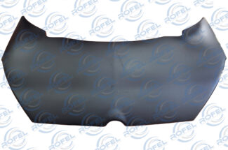 Bonnet RFA Aixam City/Roadline/Scouty/Crossline 2008 ABS