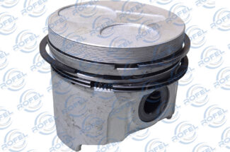 Piston Lombardini LDW502 75.00mm (With Segments)